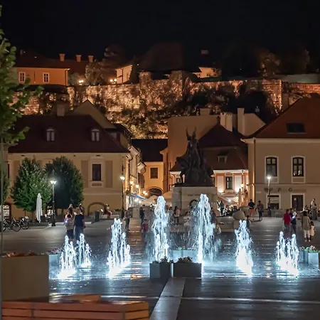 Tower View Eger